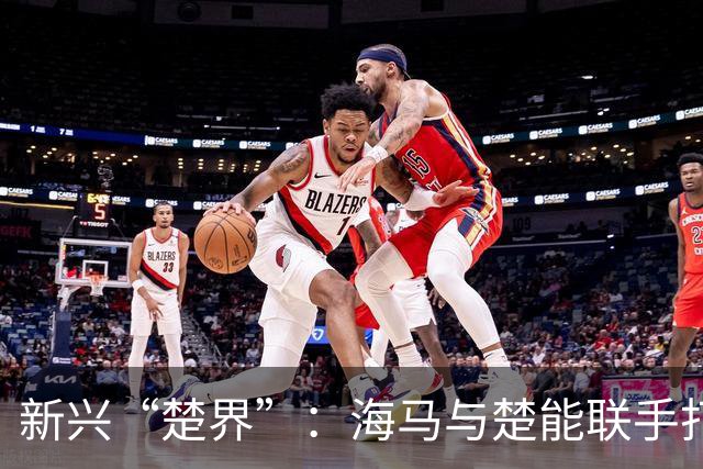 新兴“楚界”：海马与楚能联手打造汽车新势力