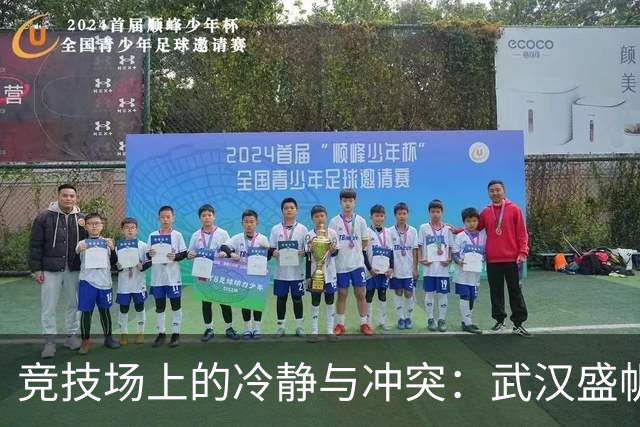 竞技场上的冷静与冲突：武汉盛帆女篮事件的深层反思